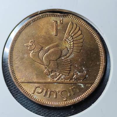 KK钱币收藏小铺  第367场  2月预留时间 周末发货 -  1968爱尔兰1便士铜币 母鸡