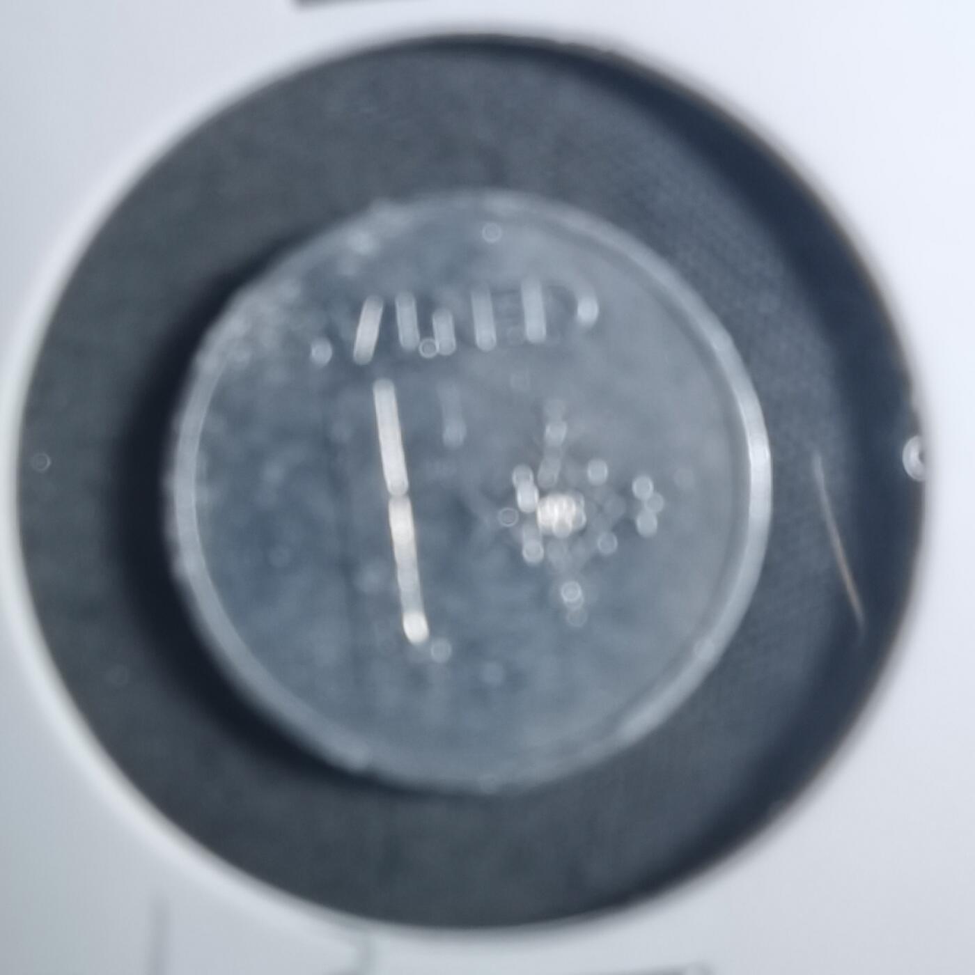 沼泽如烟--第896场 立陶宛1991年一分