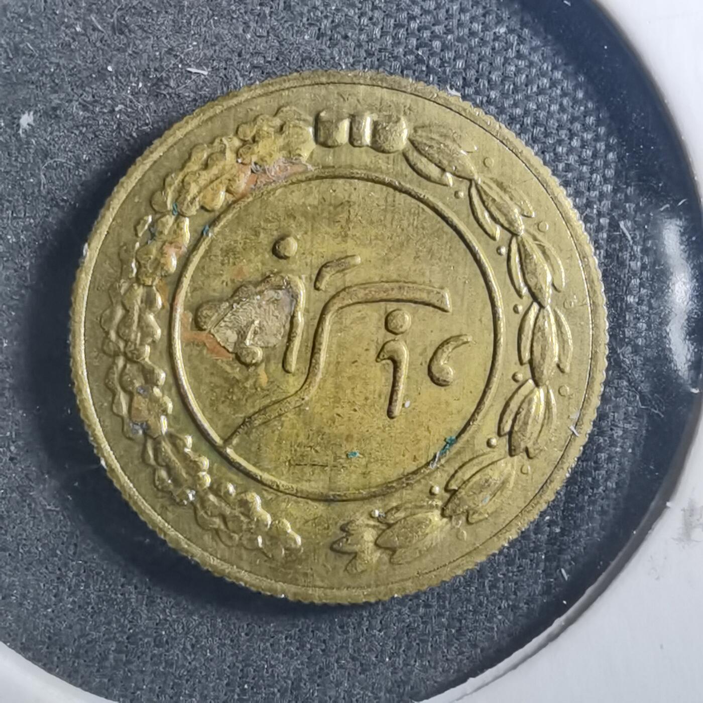 沼泽如烟--第896场 伊朗代币