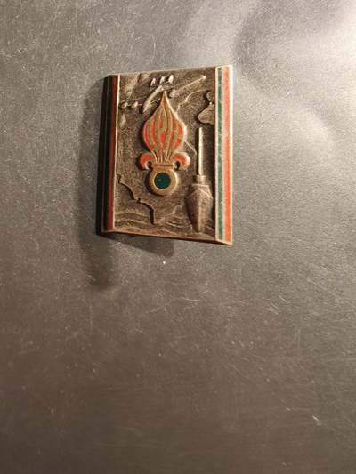 老王徽章第162期 -  法国外籍军团第2步兵团证章