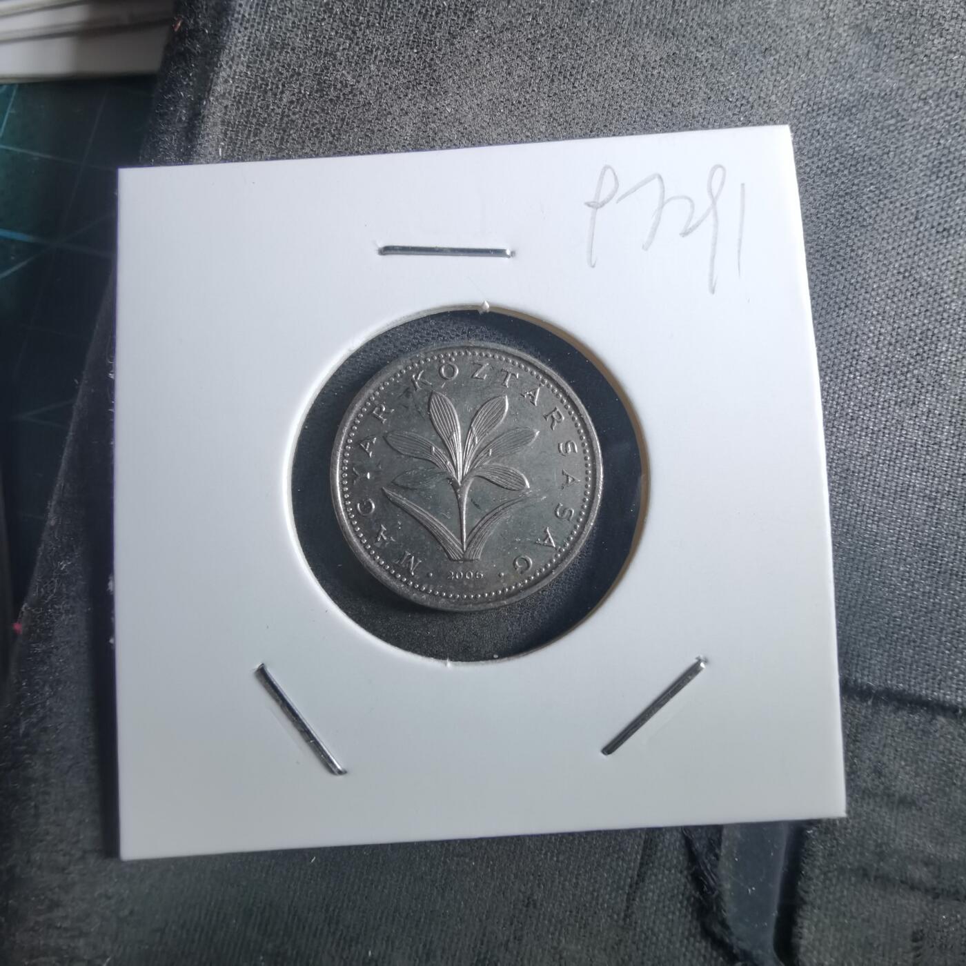 沼泽如烟--第897场