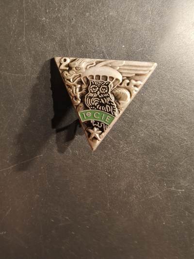 老王徽章第162期 - 法国外籍军团第2外籍伞兵团第1连证章