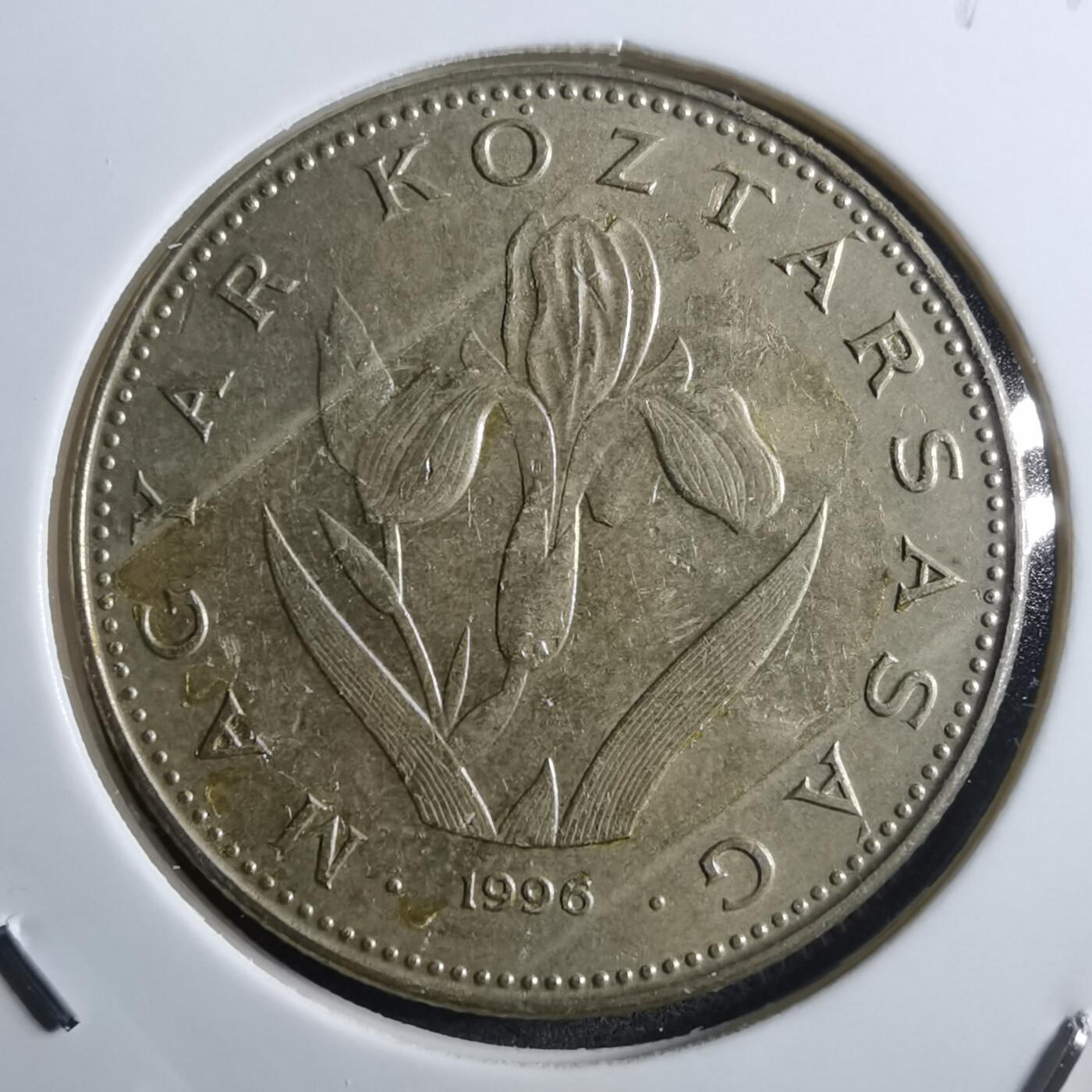 沼泽如烟--第897场