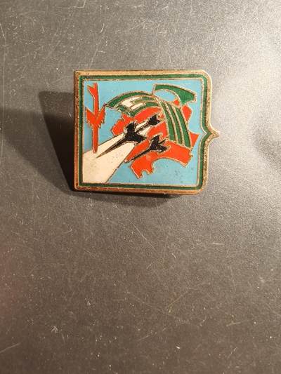 老王徽章第162期 -  法国空军第310战斗机基地证章