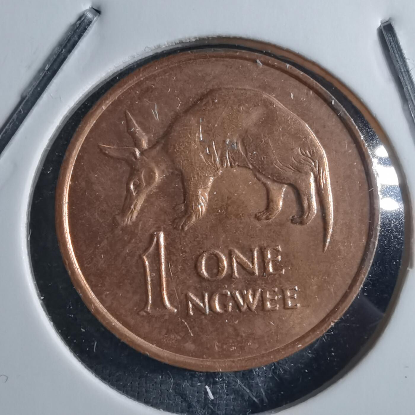 沼泽如烟--第898场 赞比亚1983年1恩韦