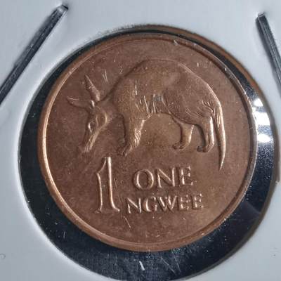 沼泽如烟--第898场 - 赞比亚1983年1恩韦