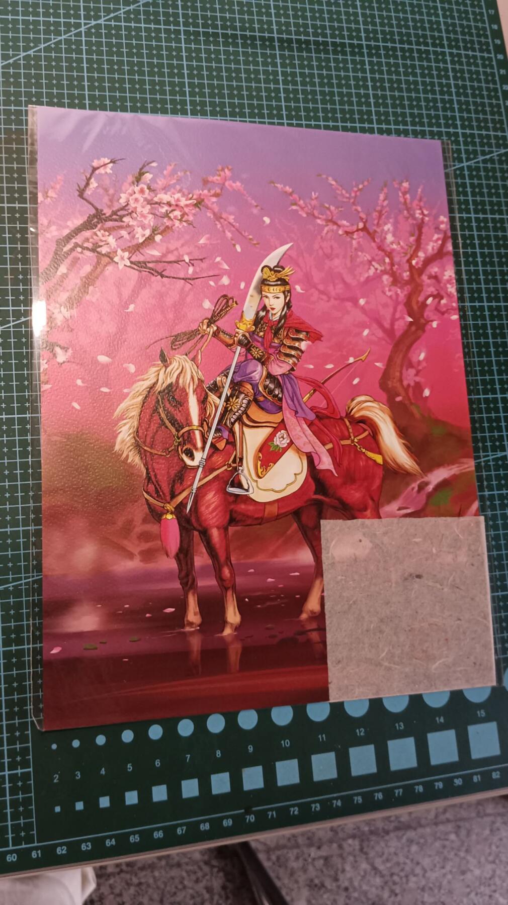 小浣熊三十周年扈三娘A4典藏画，有李海生印