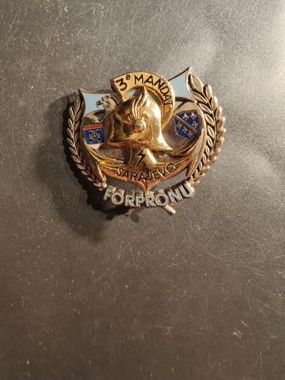 老王徽章第162期 - 波黑内战法国维和部队证章