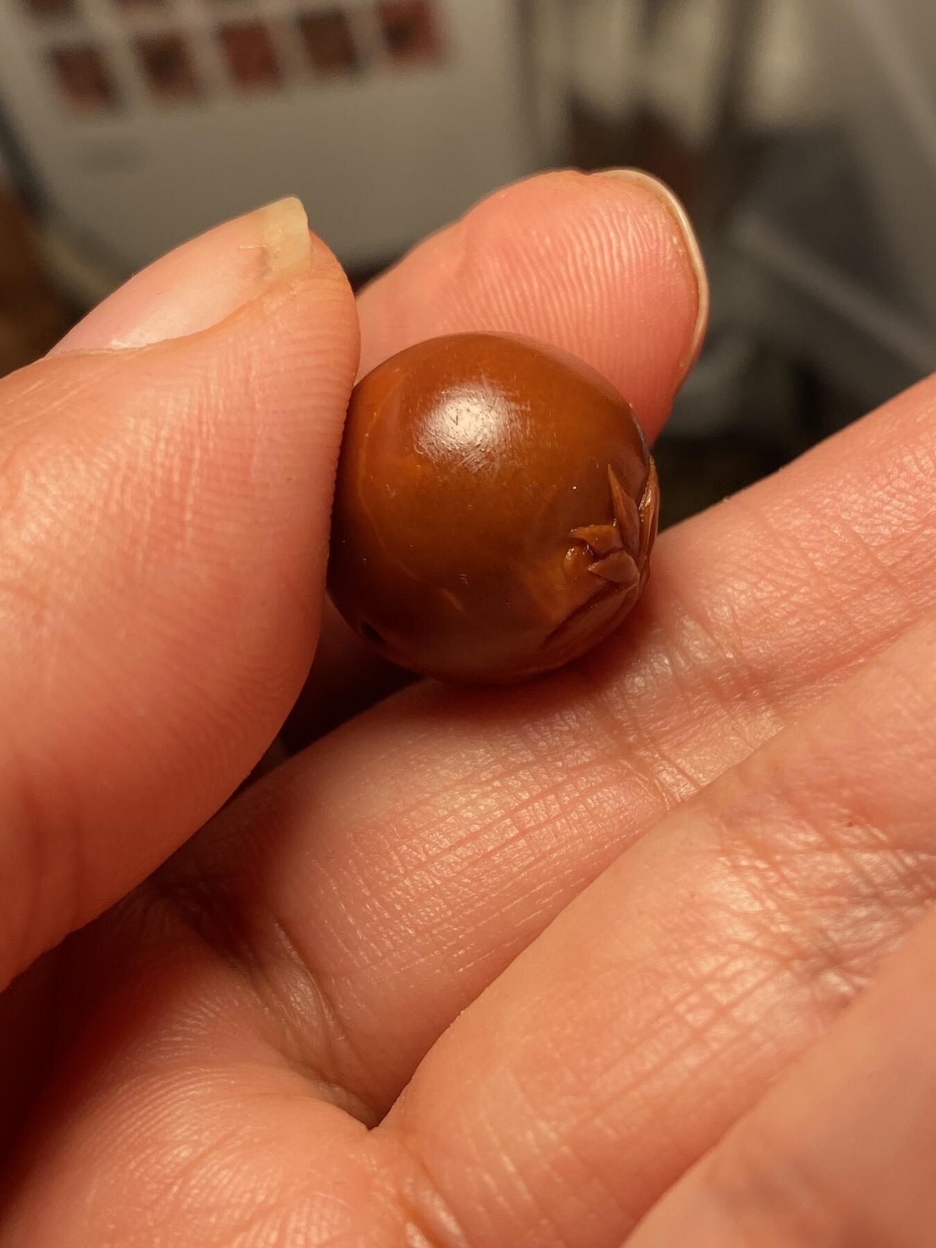 大佬都在看的苏工核雕捡漏价