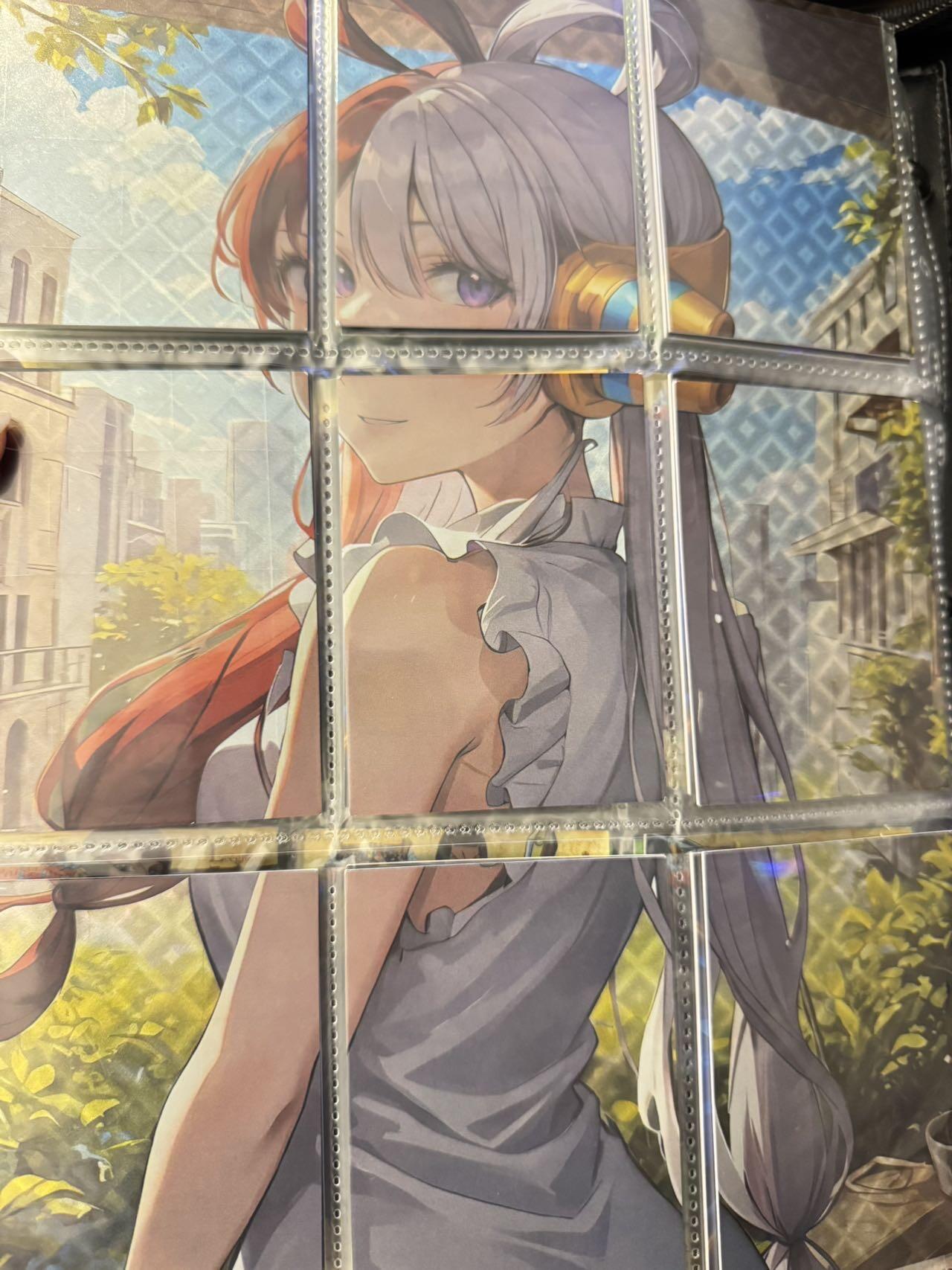 秋萤阁第30期 (11月11日周二晚上21点截拍，欢迎竞拍)  海贼王套卡 拼图 送卡册