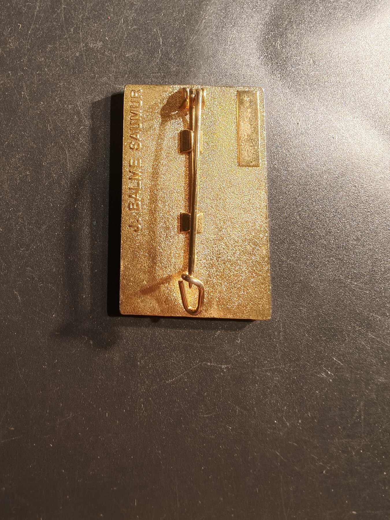 老王徽章第162期 法国证章 