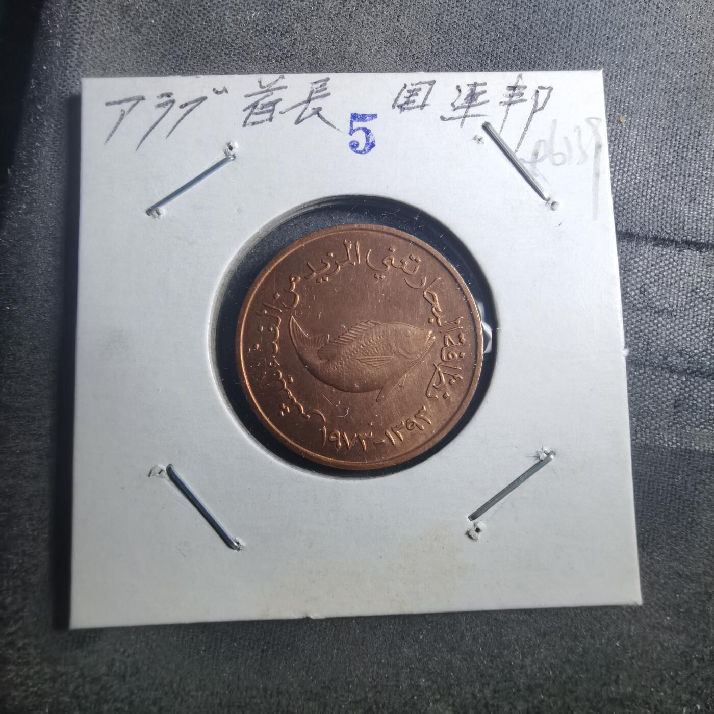 沼泽如烟--第896场 阿联酋