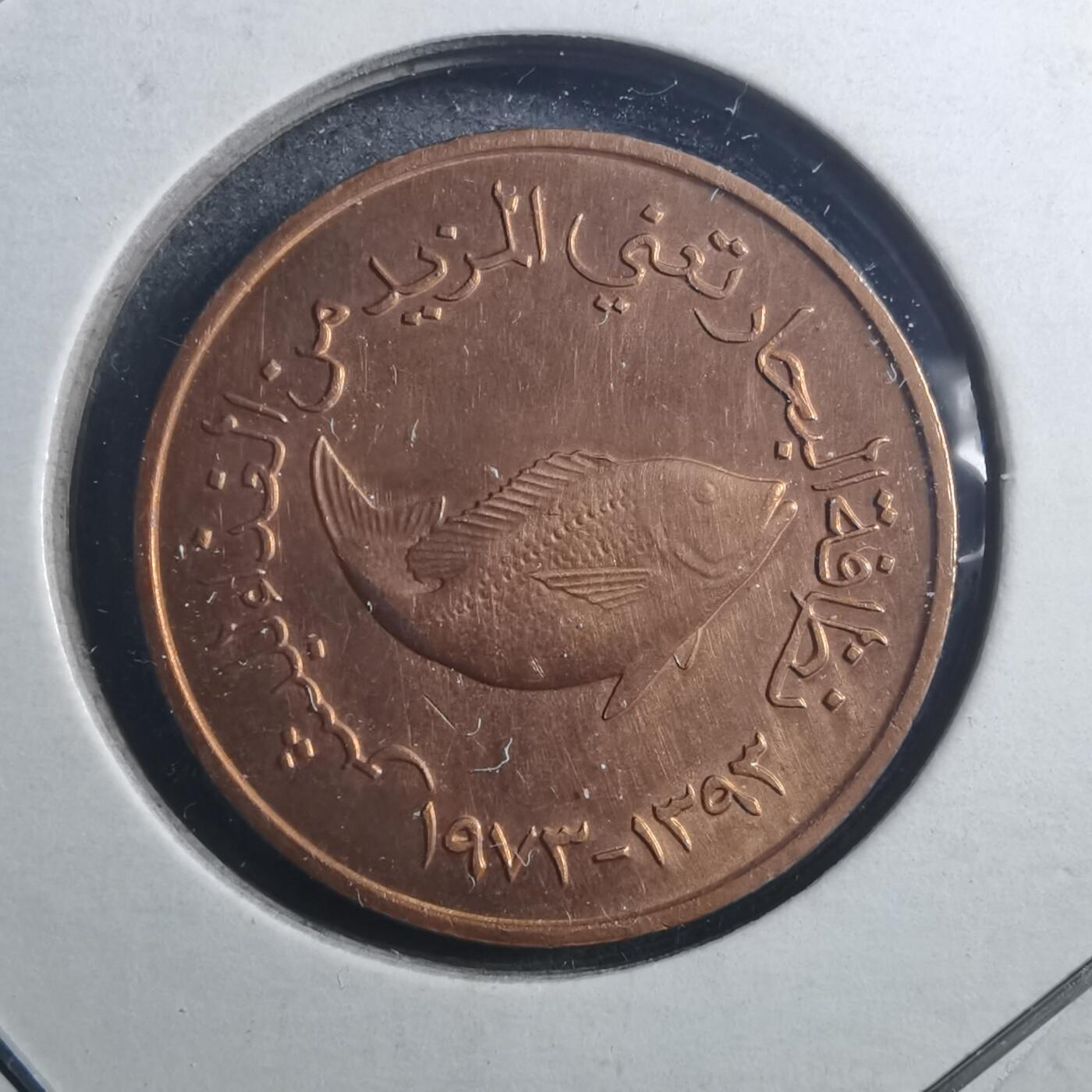 沼泽如烟--第896场 阿联酋