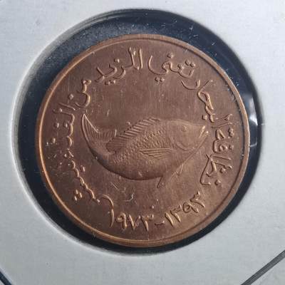 沼泽如烟--第896场 - 阿联酋