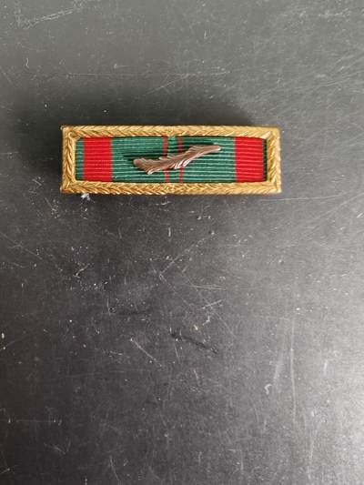 老王徽章第162期 - 南越民事行动集体嘉奖勋略