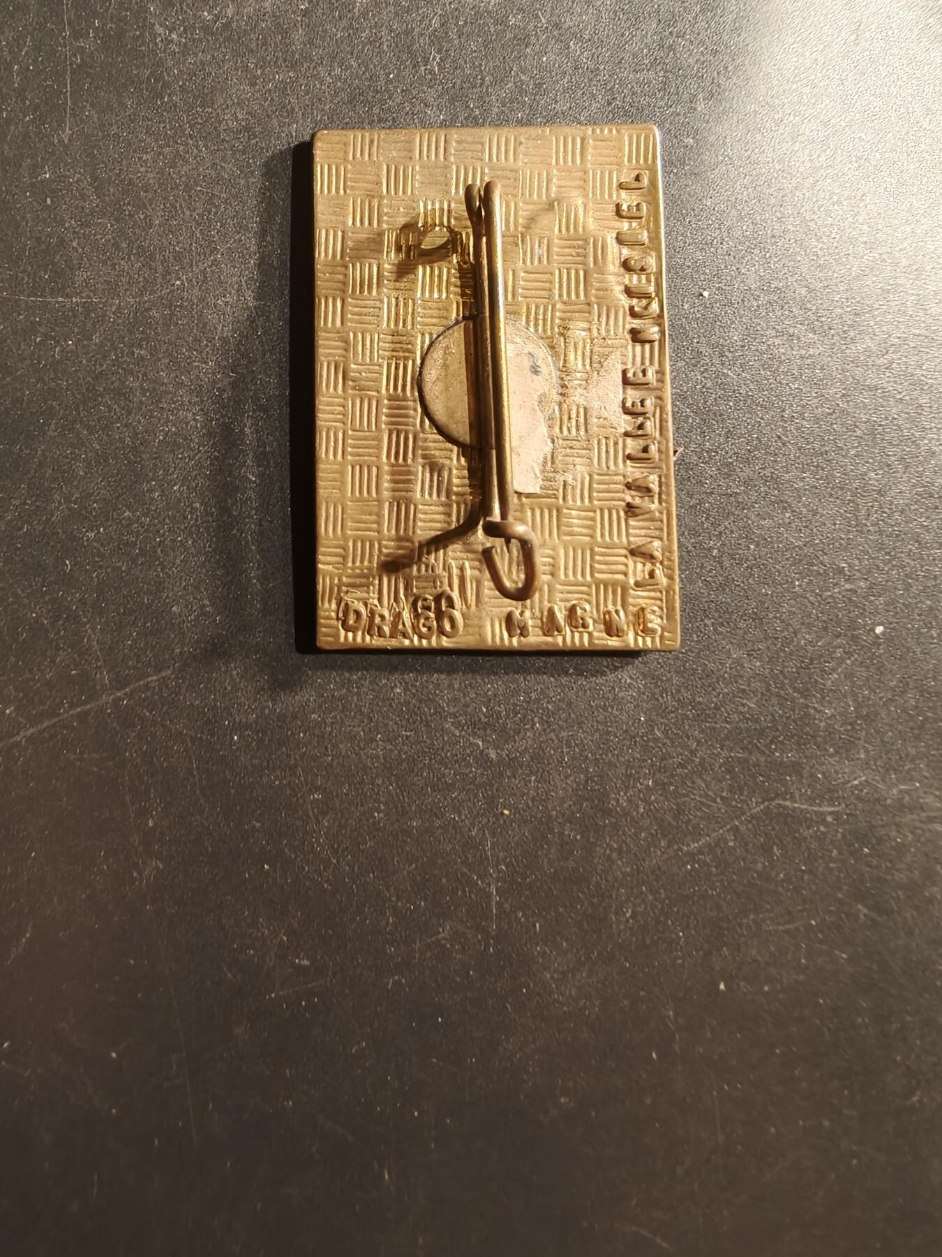 老王徽章第162期  法国外籍兵团马约特特遣队证章     徽章上的地图轮廓代表马约特岛（Mayotte），这是位于印度洋的一个法国海外省。