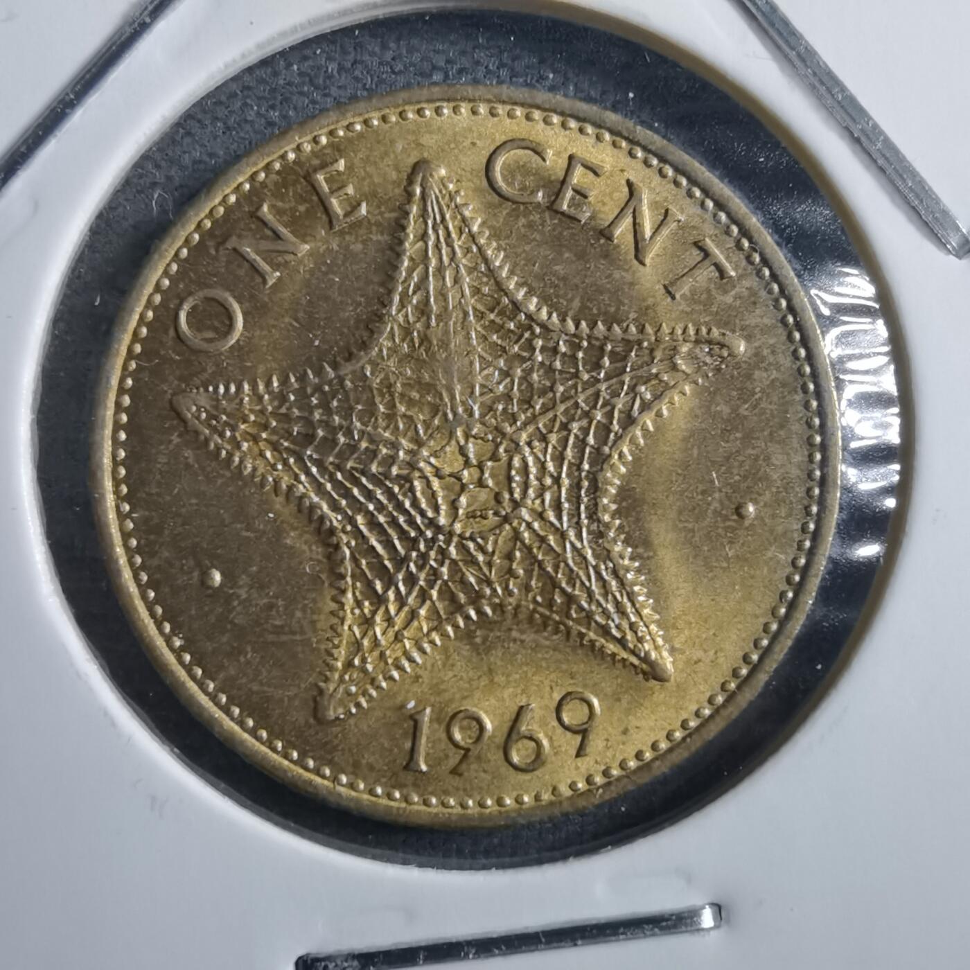 沼泽如烟--第898场