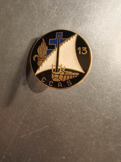 老王徽章第162期 -  法国外籍军团第13半旅指挥、管理和服务连证章