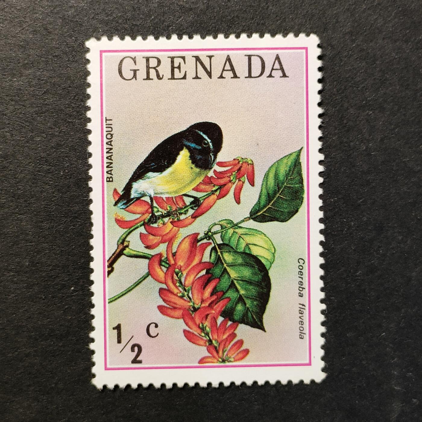 嘉禾收藏    【第374期】            无佣金、可寄存、满30元包邮 格林纳达邮票，1976年动物鸟类 香蕉雀邮票