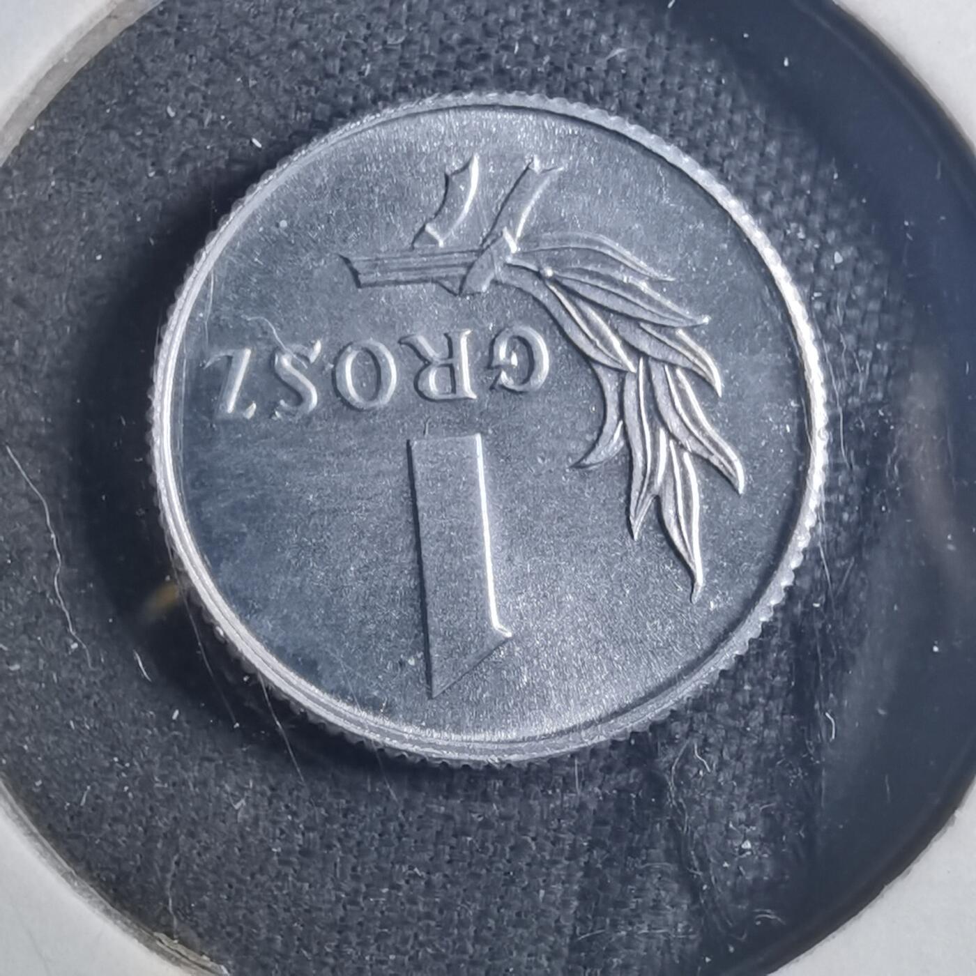 沼泽如烟--第896场 波兰1949年1格罗申