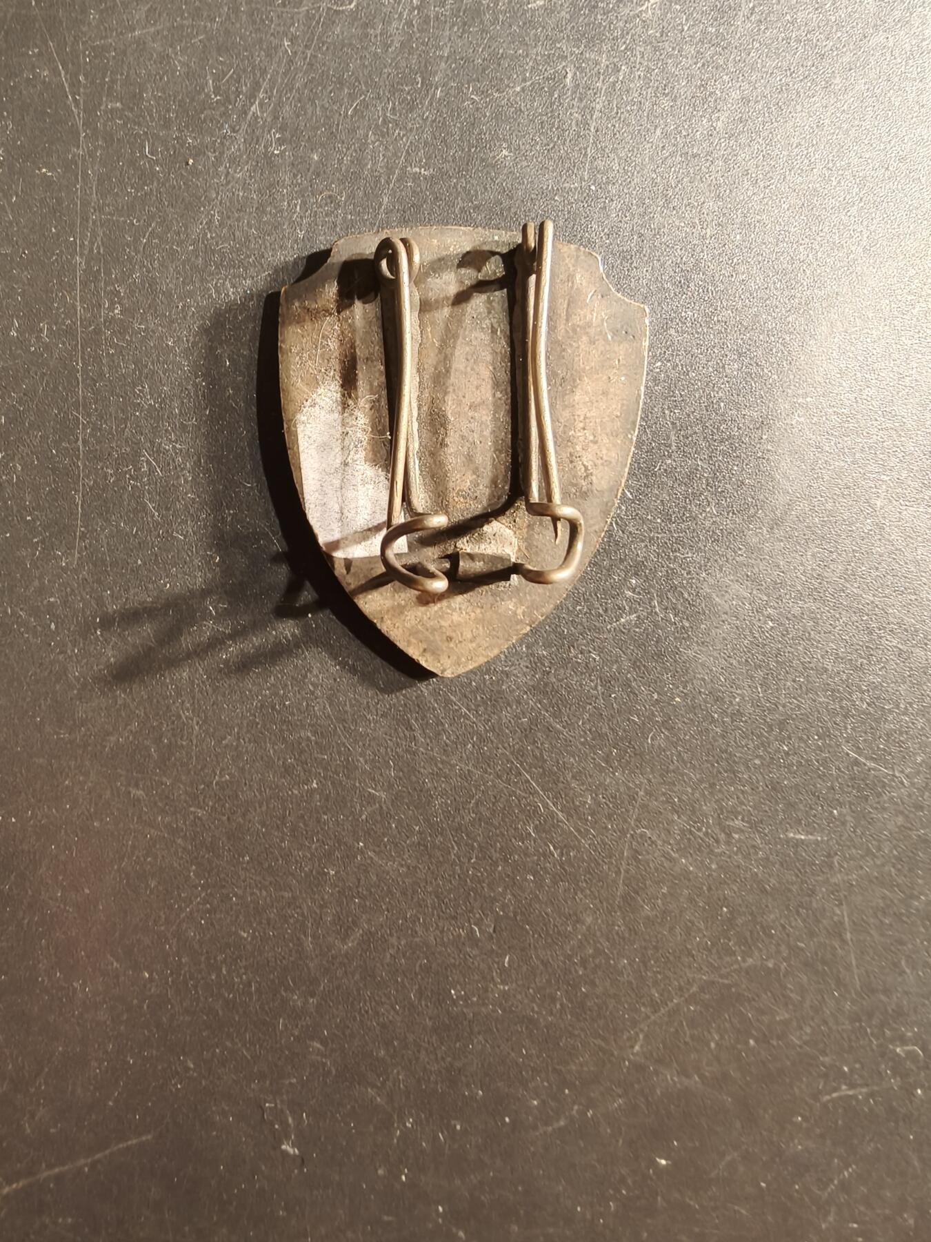 老王徽章第162期