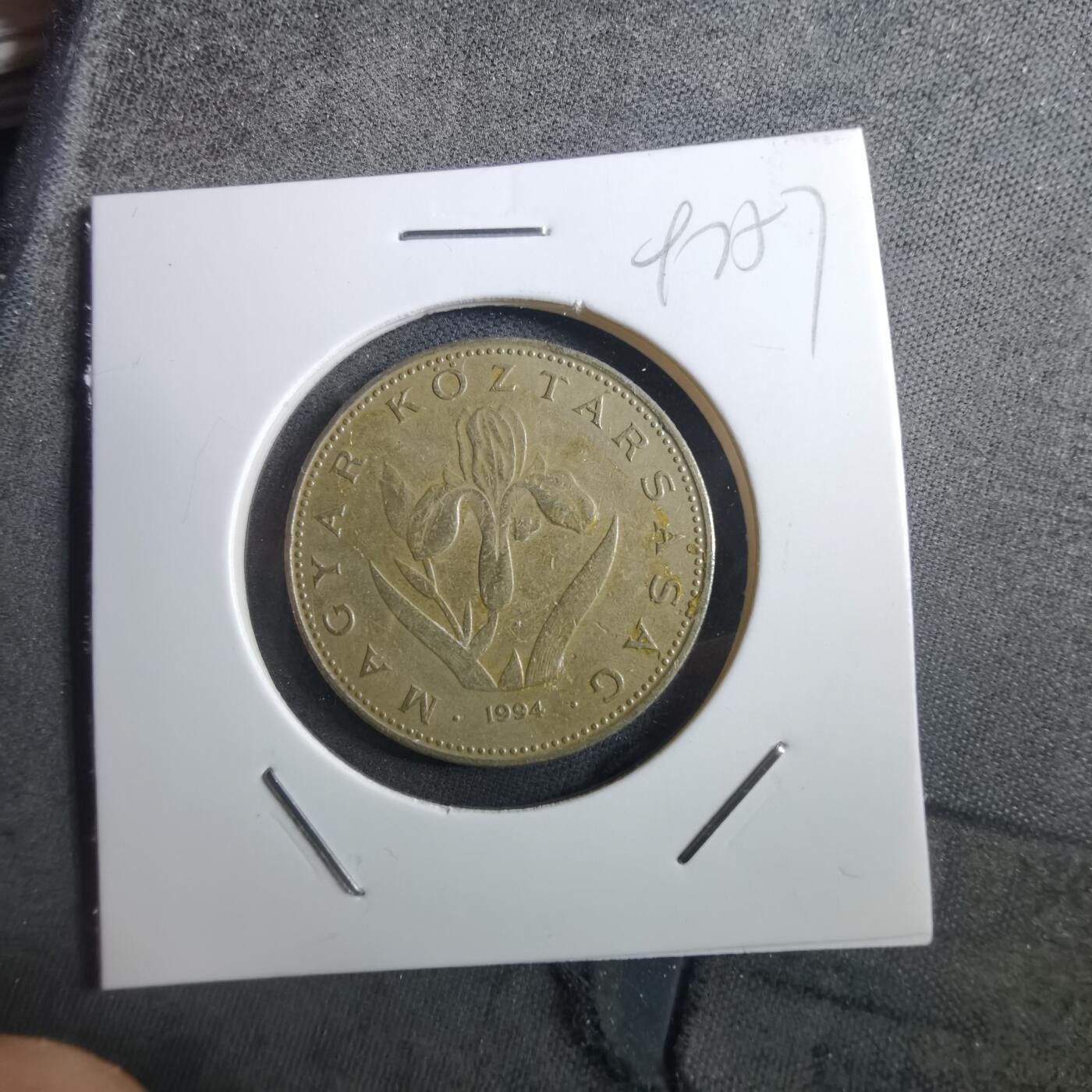 沼泽如烟--第897场