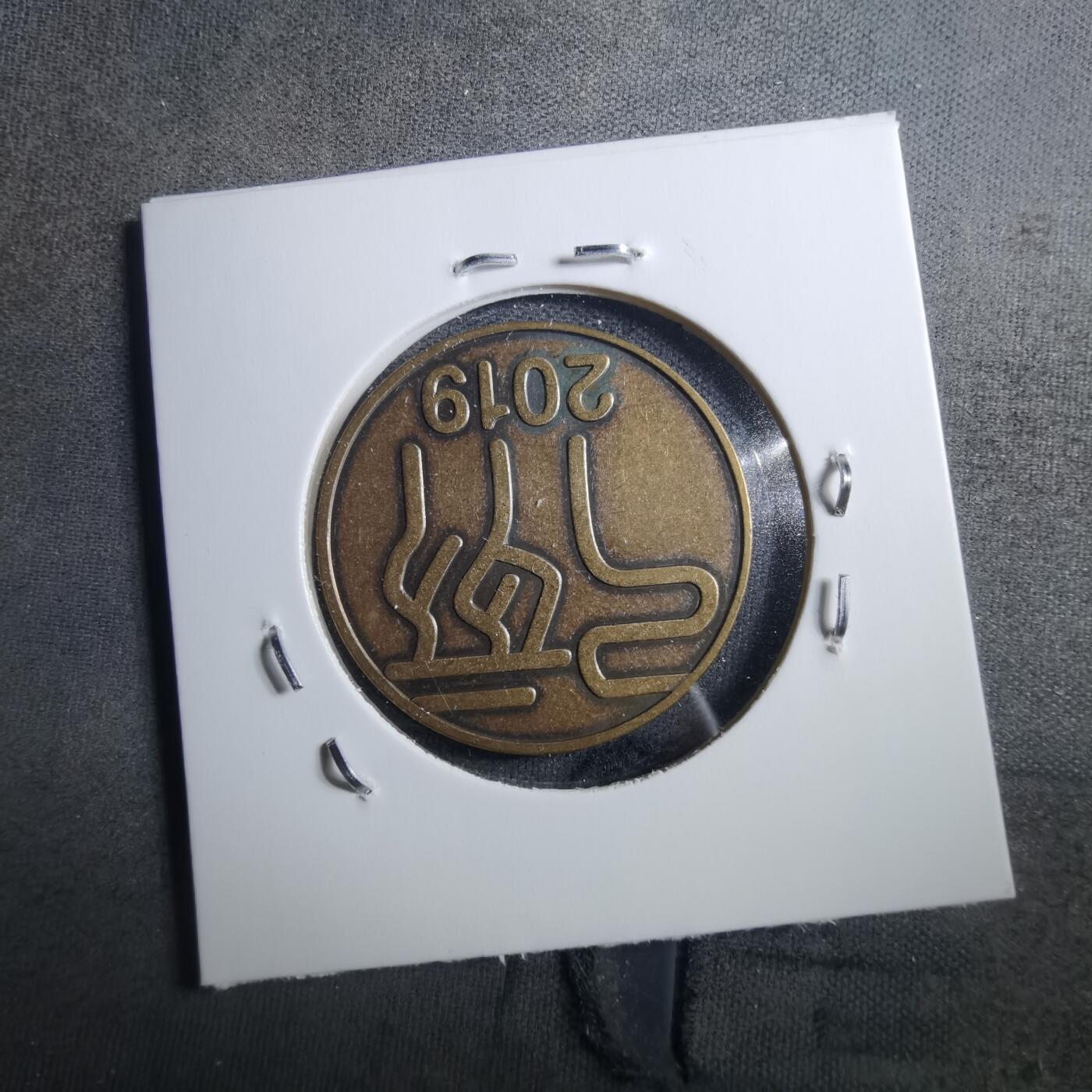 沼泽如烟--第898场 2019年生肖猪