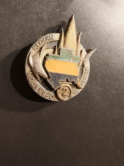 老王徽章第162期 -  法国外籍兵团第2外籍步兵团海湾战争“鲨鱼行动”证章