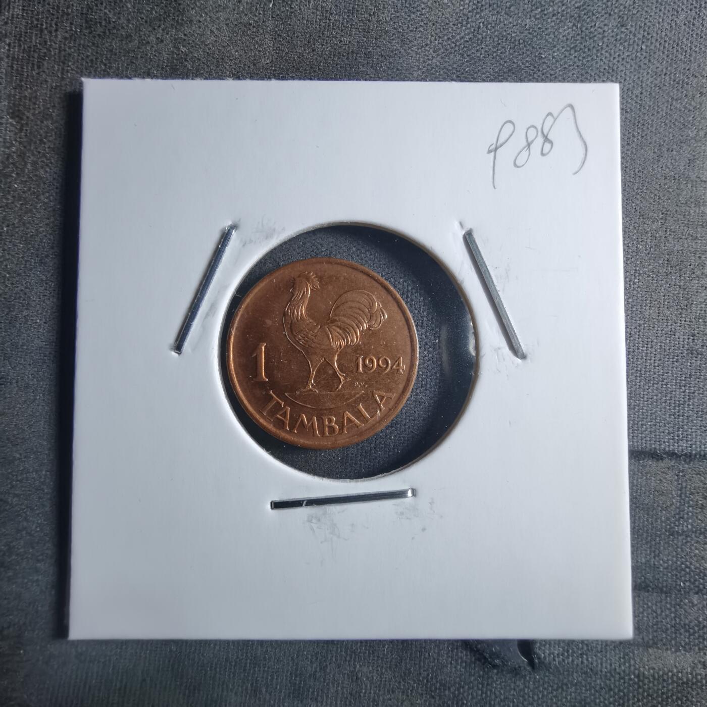 沼泽如烟--第898场 马拉维1994年1坦巴拉