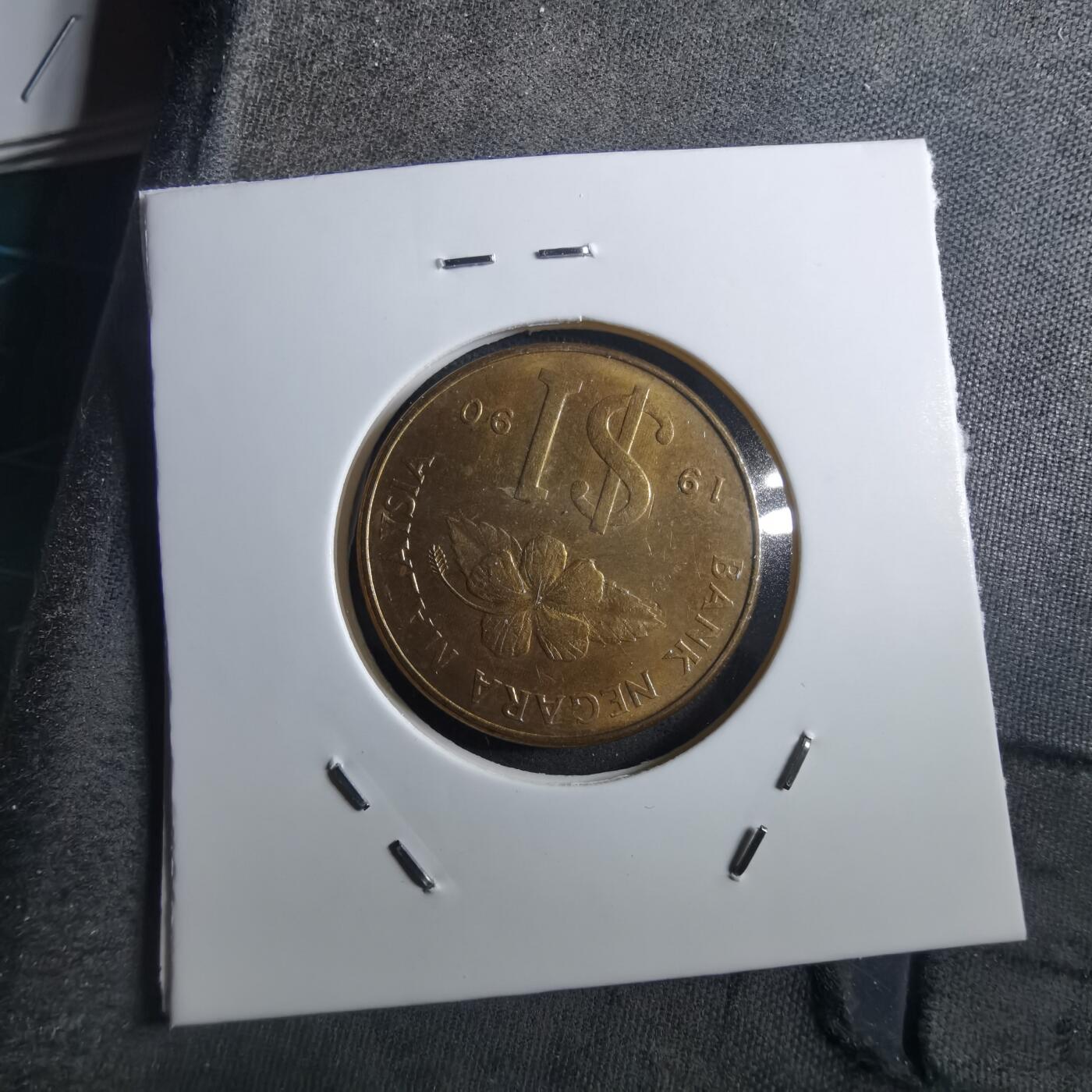 沼泽如烟--第897场