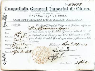 2025年吉藏纸杂文献秋季专场拍卖会 - 1880年清总领事签发护照一张（上有大清双龙印戳） 21×15.6cm