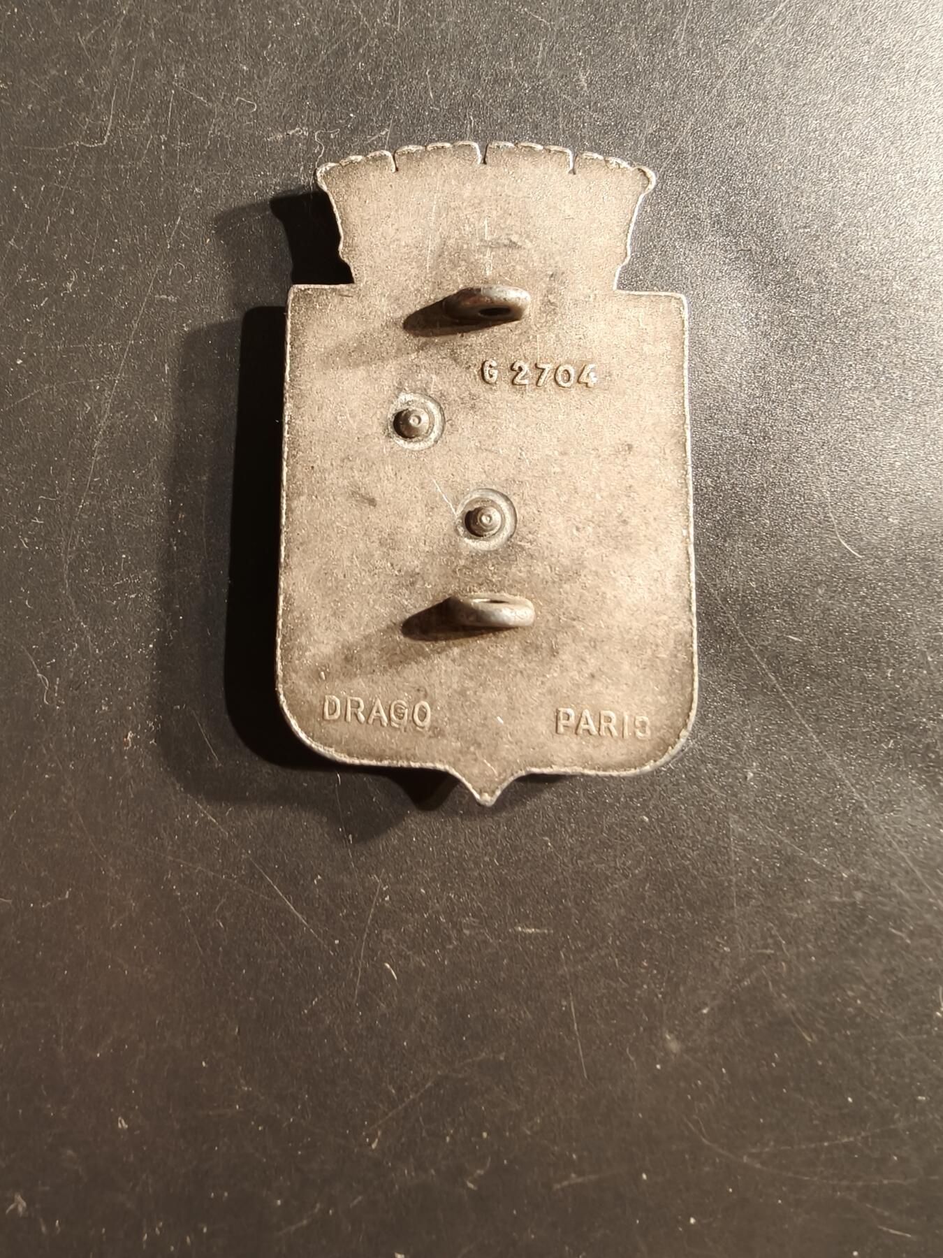 老王徽章第162期  法国地区30野战医疗服务团证章