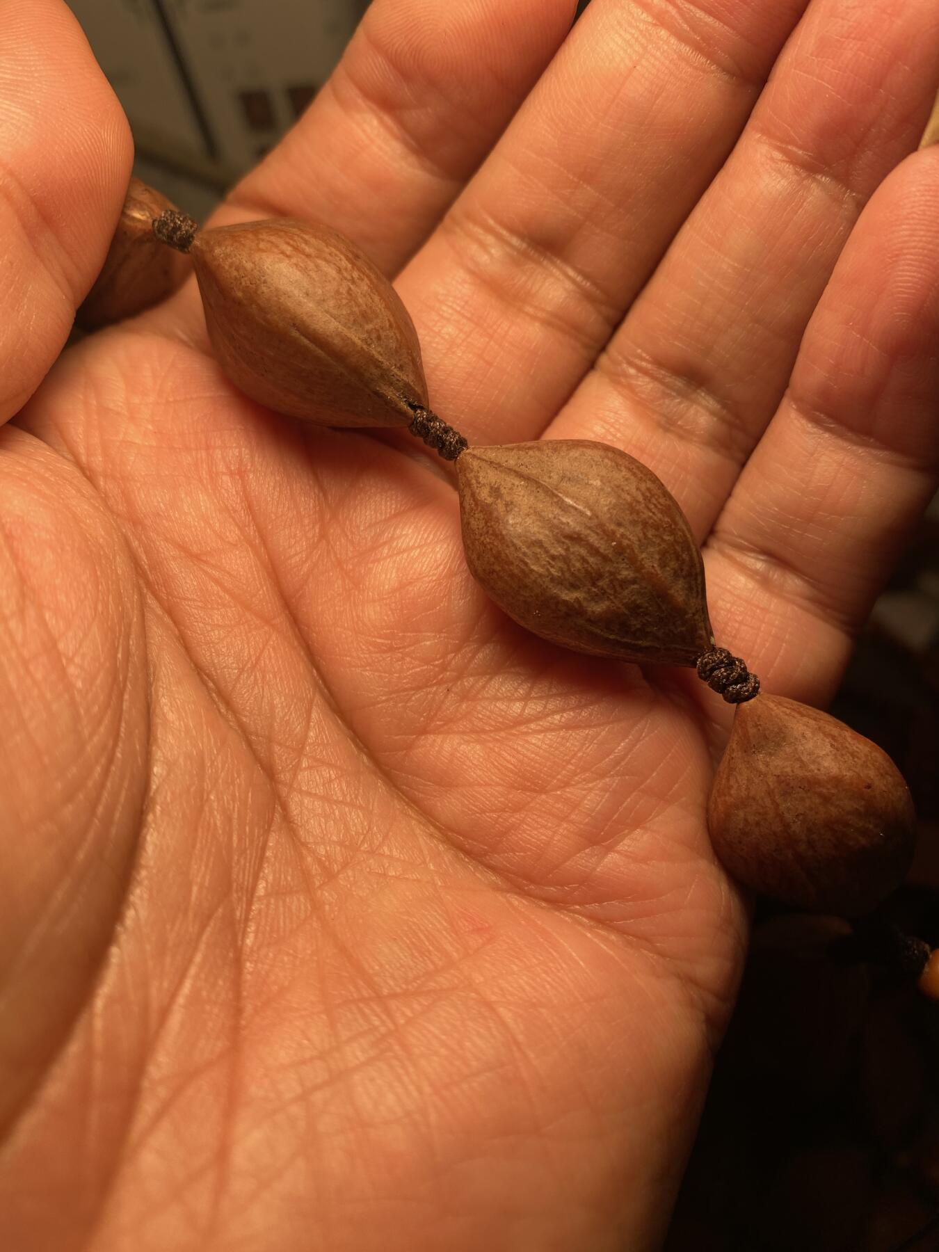 大佬都在看的苏工核雕捡漏价