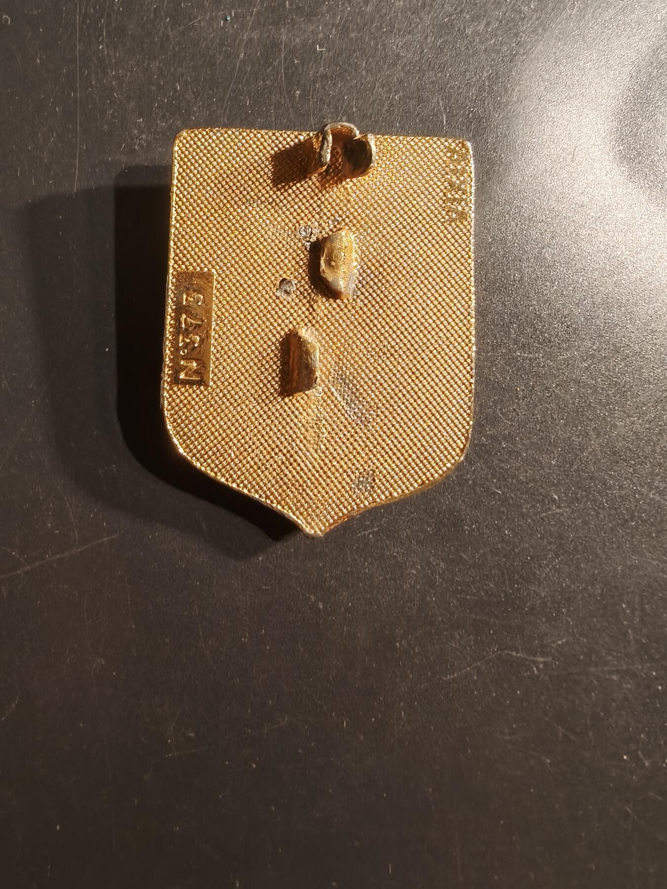 老王徽章第162期