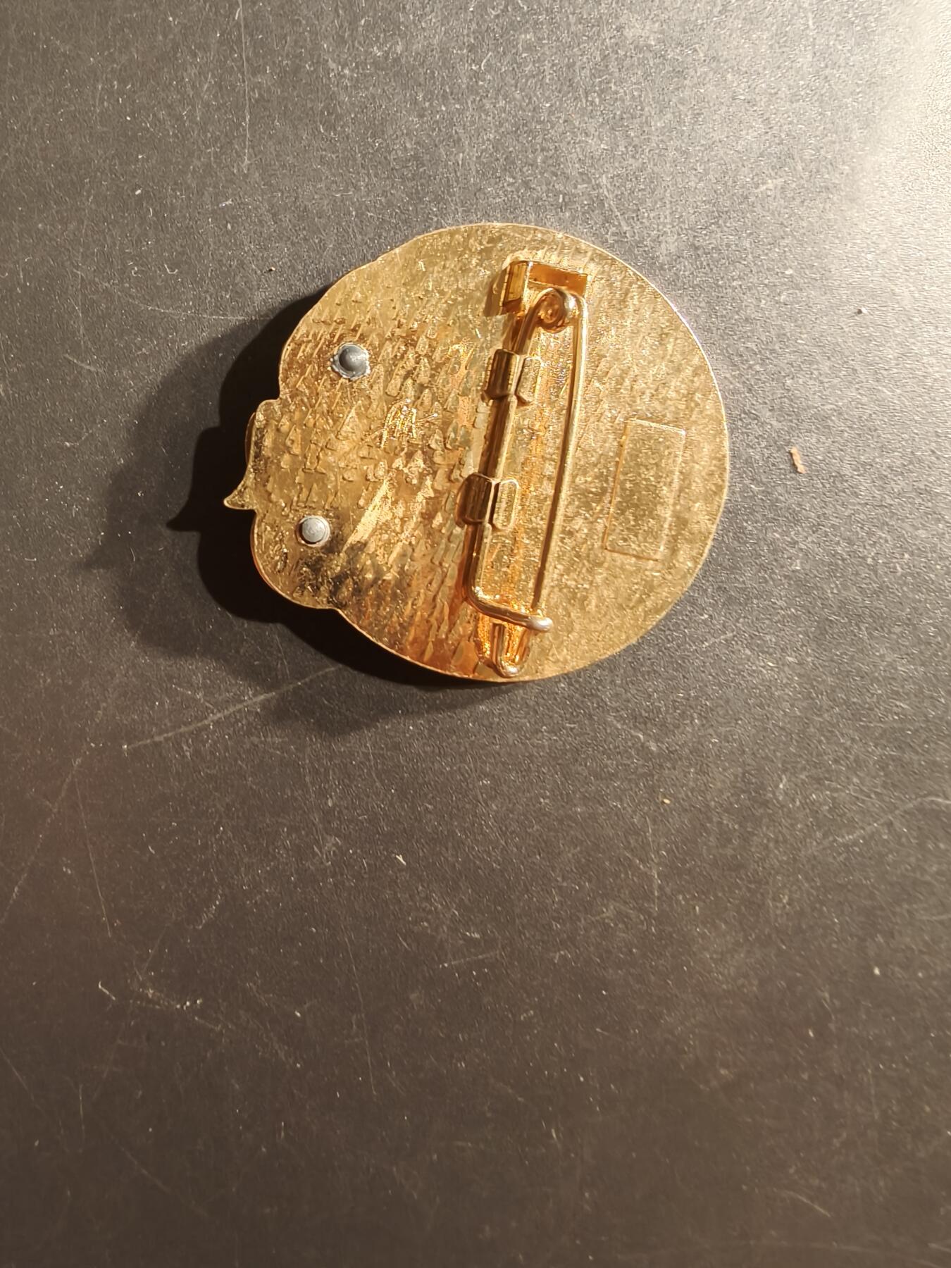 老王徽章第162期  法国外籍军团第1步兵团阿尔及利亚伐木工兵连分队证章