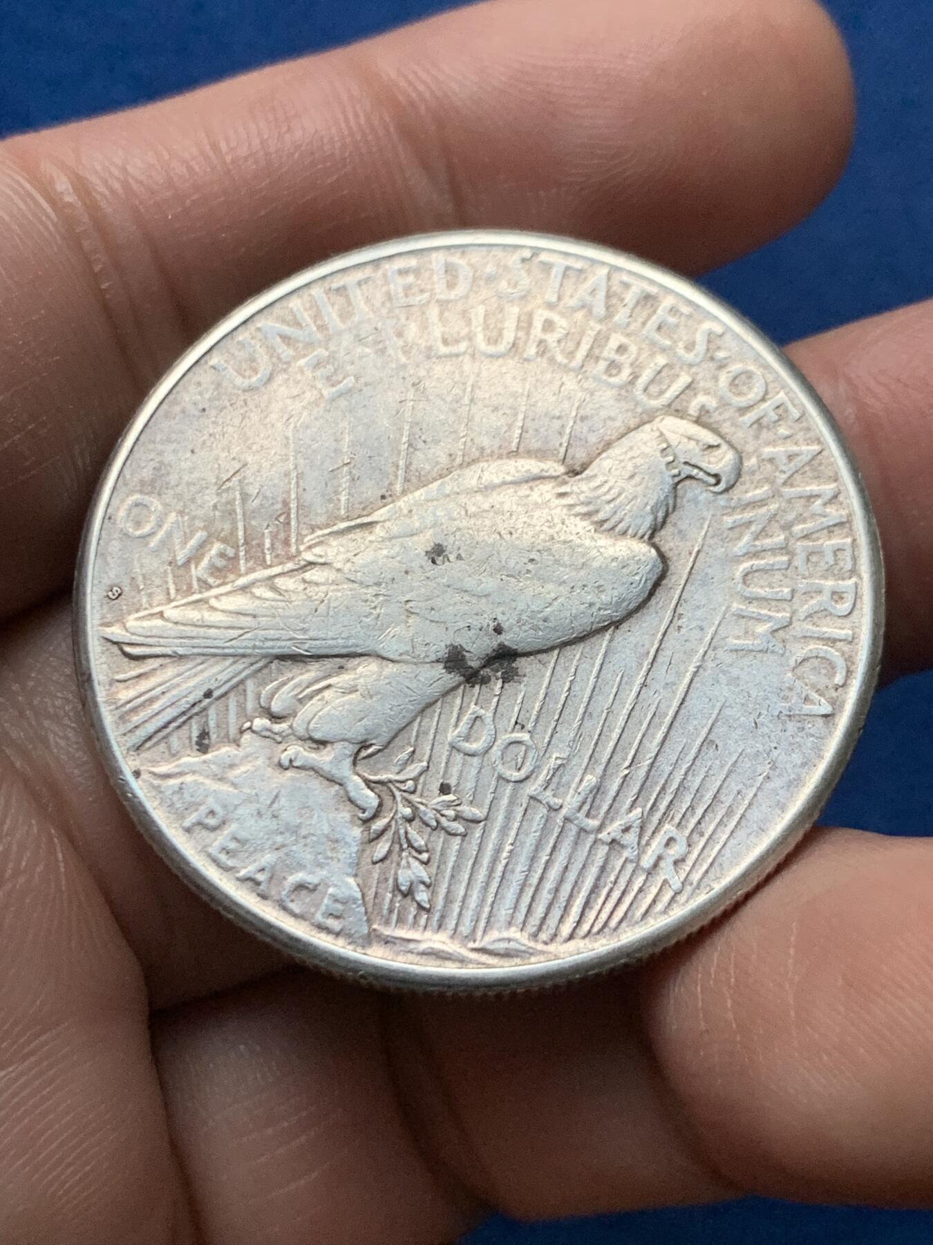 《竞宝斋》第436场 周日，周一2场连拍 （全场包邮） 美国1922年和平1美元银币