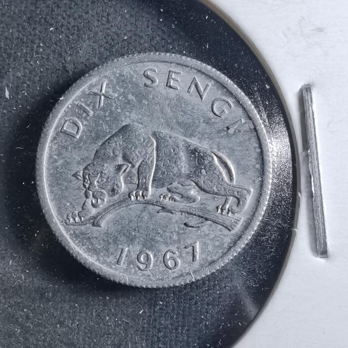 沼泽如烟--第898场