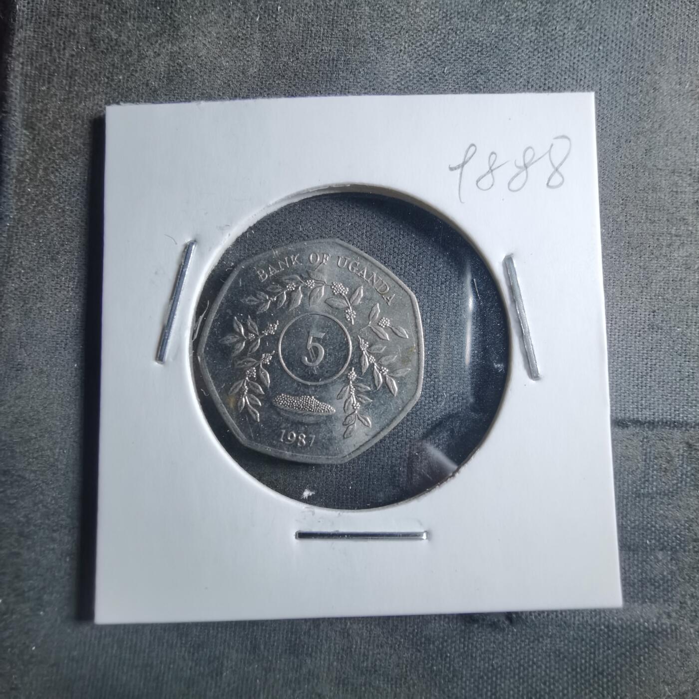 沼泽如烟--第898场