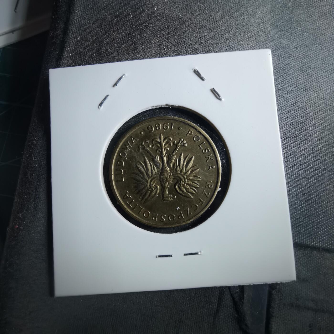 沼泽如烟--第897场 波兰1986年5兹罗提