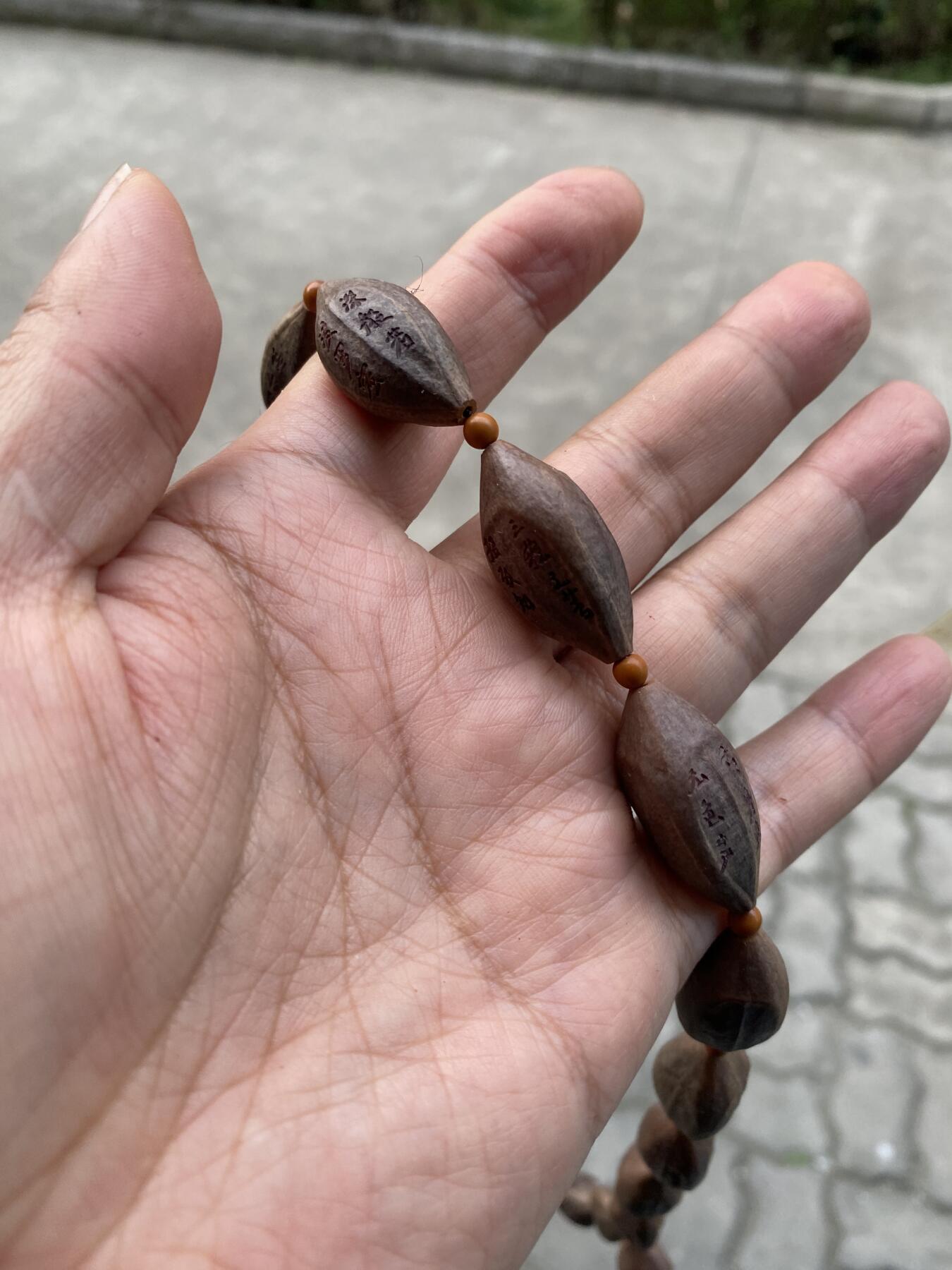 大佬都在看的苏工核雕捡漏价