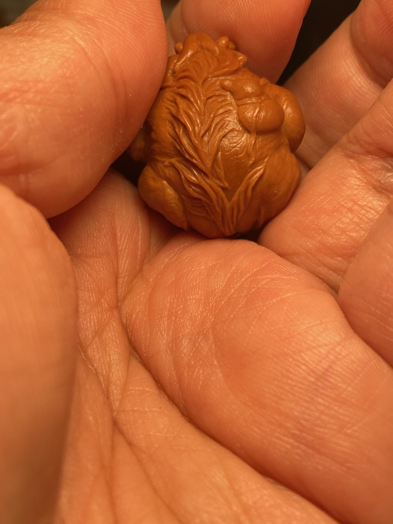 大佬都在看的苏工核雕捡漏价