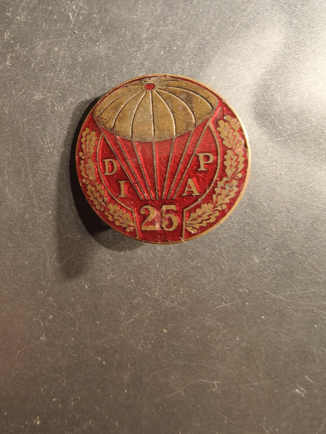 老王徽章第162期  法国第25空降师证章