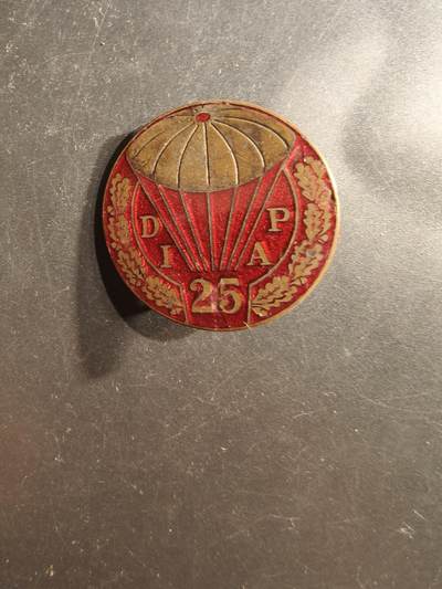 老王徽章第162期 -  法国第25空降师证章