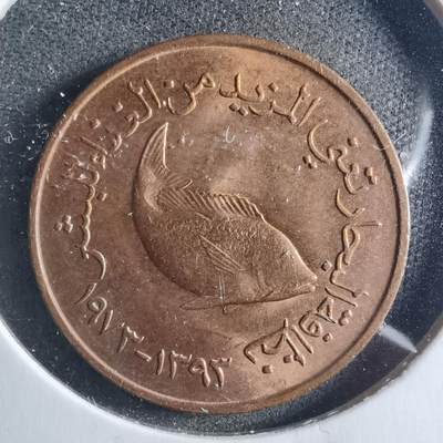 沼泽如烟--第898场 - 阿联酋