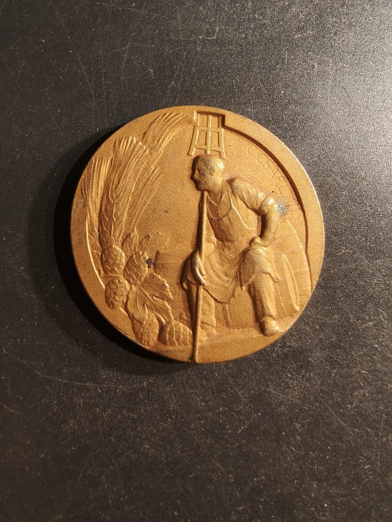 老王徽章第162期