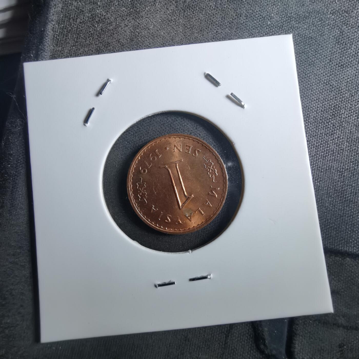 沼泽如烟--第897场