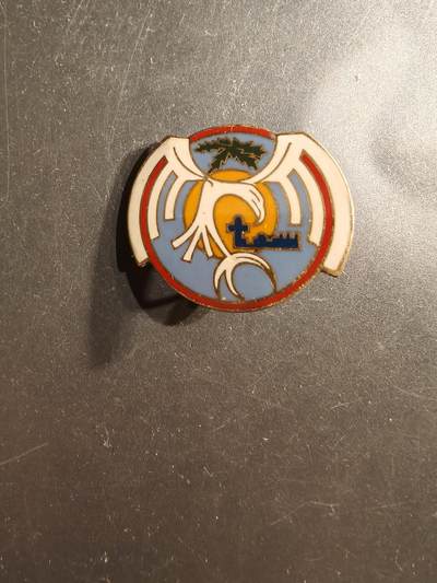 老王徽章第162期 -  法国吉布提第188空军基地证章