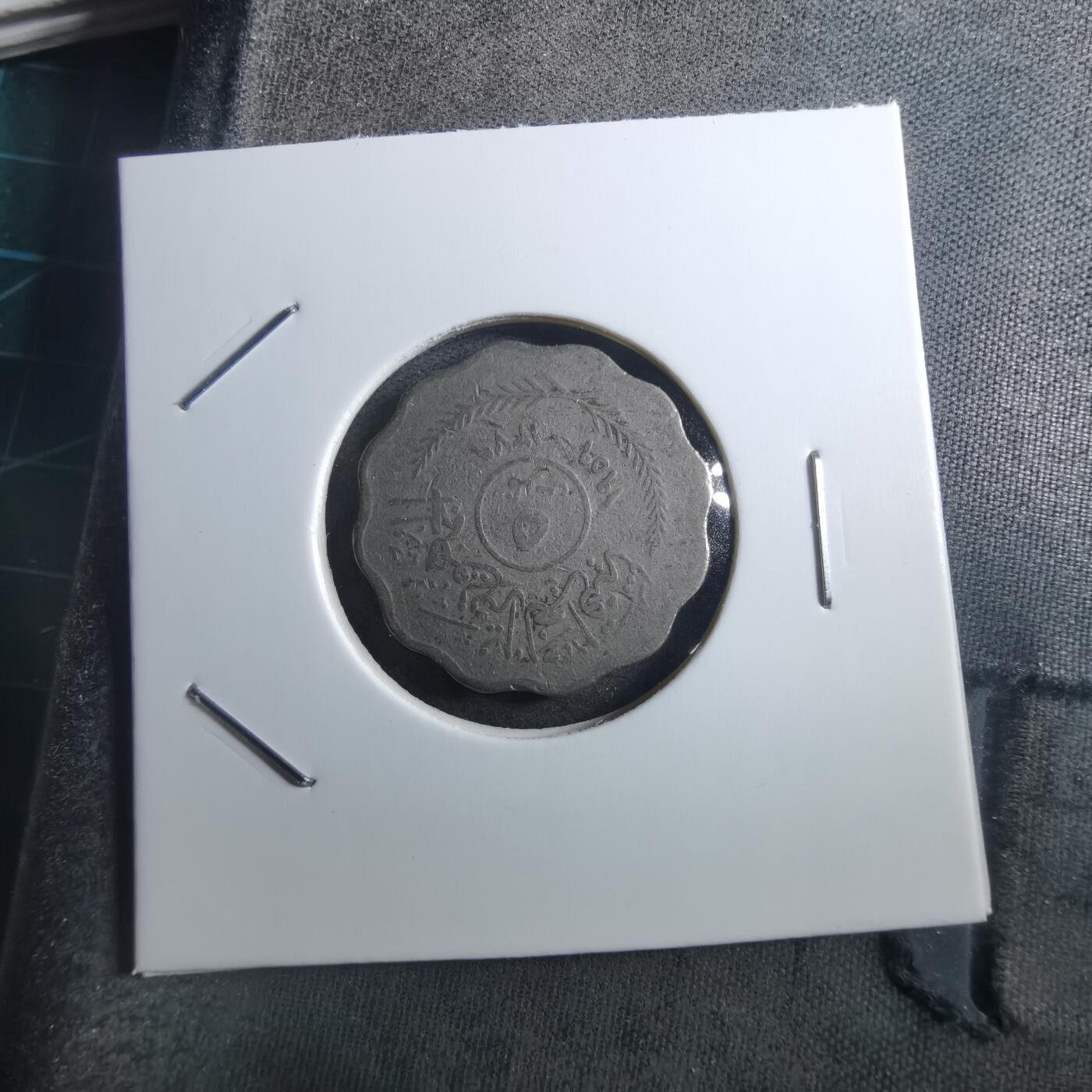 沼泽如烟--第897场