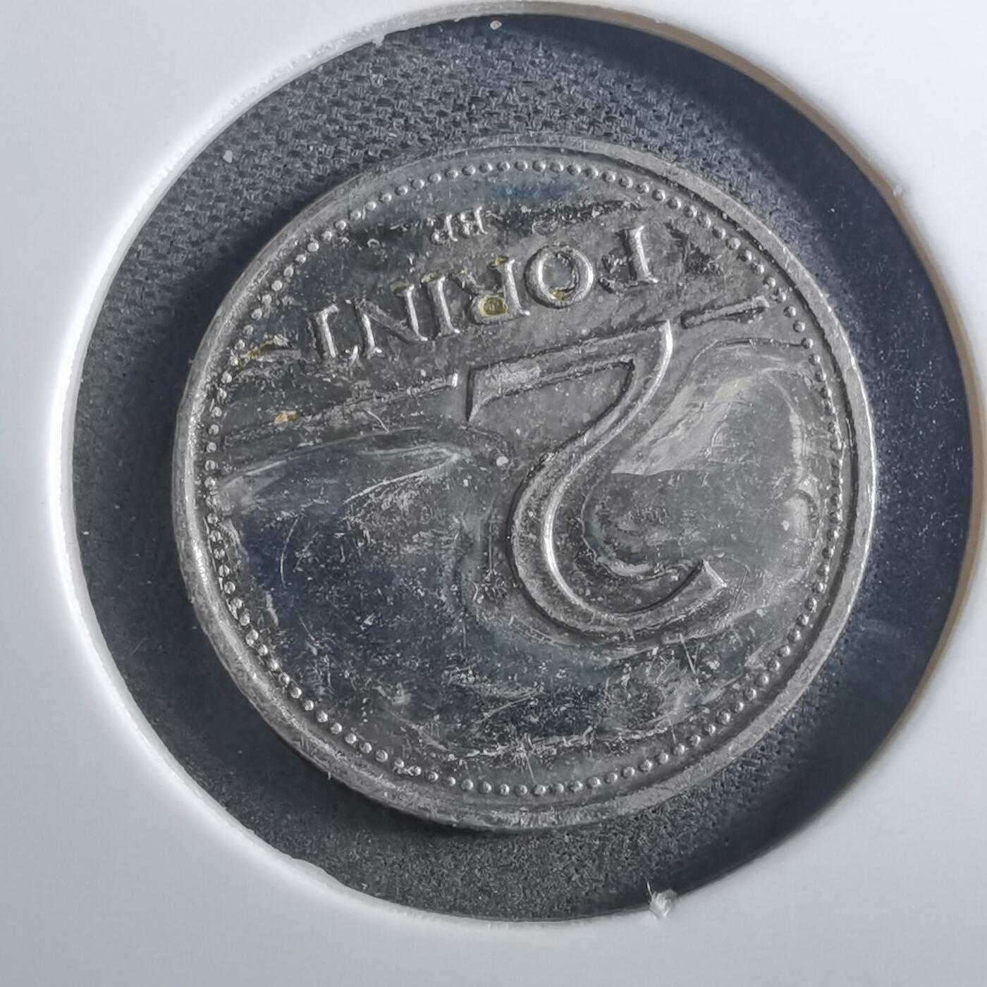 沼泽如烟--第897场