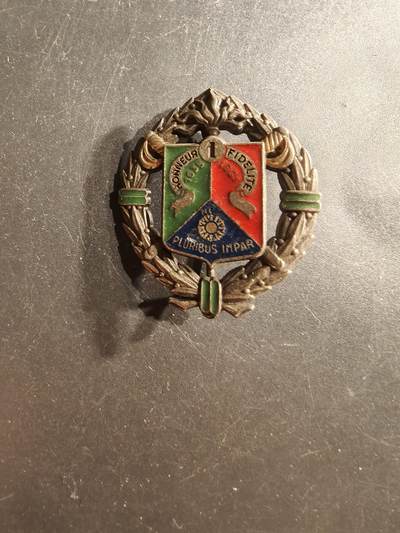 老王徽章第162期 -  法国外籍兵团第1外籍骑兵团证章